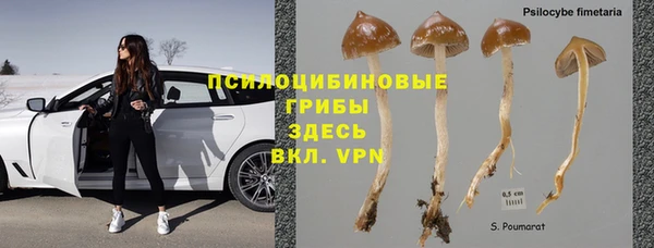 кокс Арсеньев