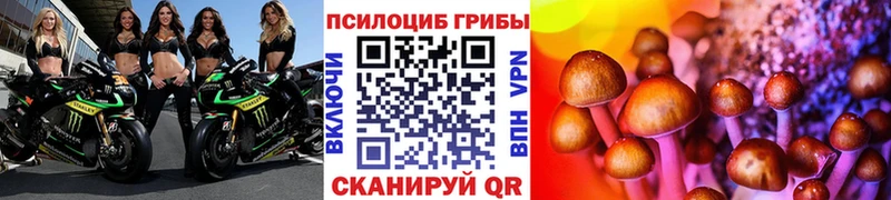 Галлюциногенные грибы Cubensis  где найти наркотики  Аткарск 